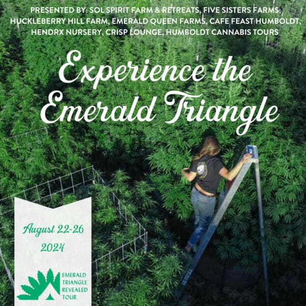 cannabis retreats emerald triangle experience
